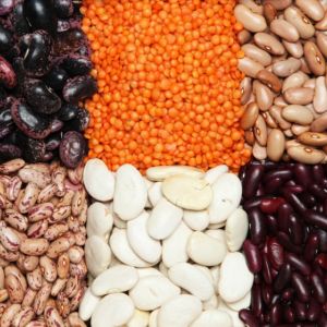 Pulses