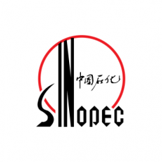 GEOPHYSICAL PROSPECTING COMPANY OF SINOPEC HENAN PETROLEUM EXPLORATION BUREAU PAKISTAN BRANCH