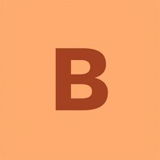 BHATTI BROTHERS GROUP OF COMPANIES