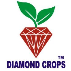 DIAMOND CROPS