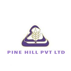 PINE HILL PVT LTD