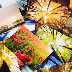 Promotional & Office Stationary 